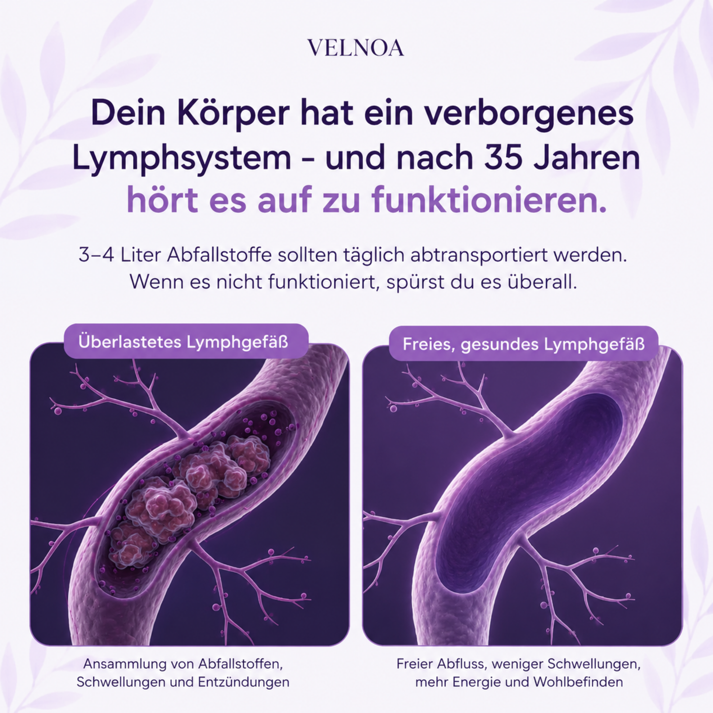 Lymph Drainage Supplement